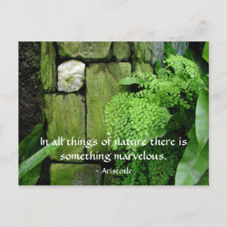 Steingarten: Aristoteles - Postkarte