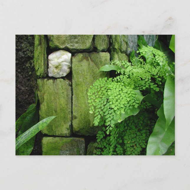 Steingarten - Postkarte (Vorderseite)