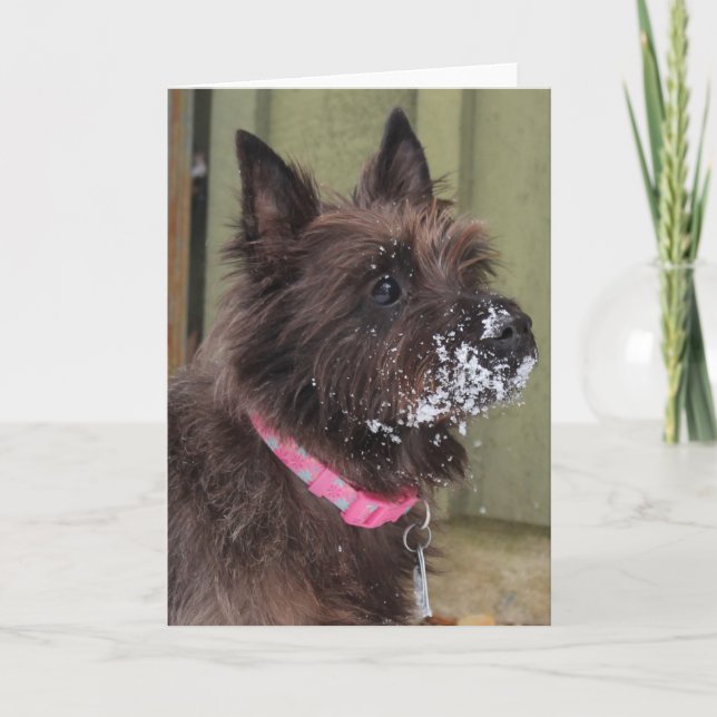 Steinhaufen im Schnee Karte (Vorderseite)