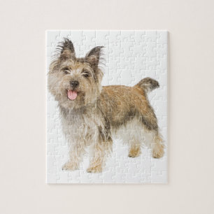 Steinhaufen Terrier Puzzle