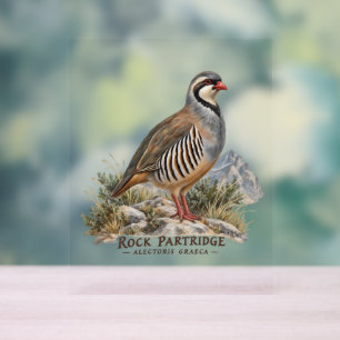 Steinhuhn ,Alectoris Graeca Jagdvögel Acrylschild