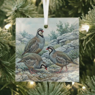 Steinhuhn ,Alectoris Graeca Jagdvögel Ornament Aus Glas