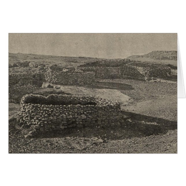 Steinkorralen (Vorderseite (Horizontal))