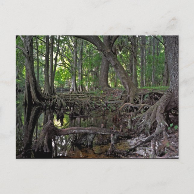 Steinkreuz. Postkarte (Vorderseite)