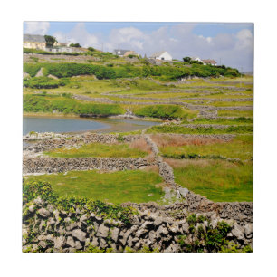 Steinmauern von Irland Fliese