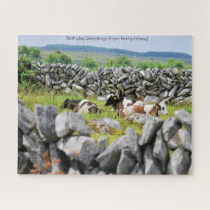Steinmauern von Kerry. Jigsaw Puzzle