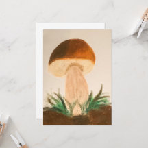 Steinpilz