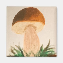 Steinpilz