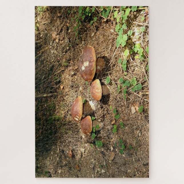 Steinpilz Puzzle (Vertikal)