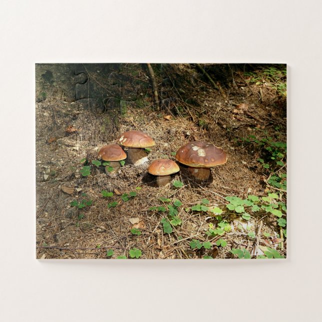Steinpilz Puzzle (Horizontal)
