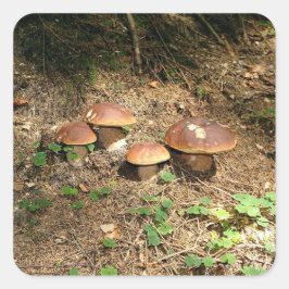 Steinpilz Quadratischer Aufkleber
