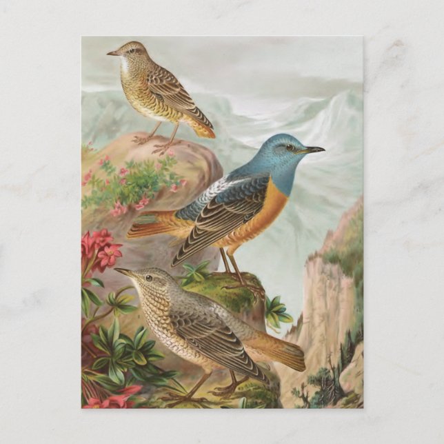 Steinrötel Postkarte (Vorderseite)