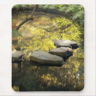 Steintreppen über einen Teich Mousepad
