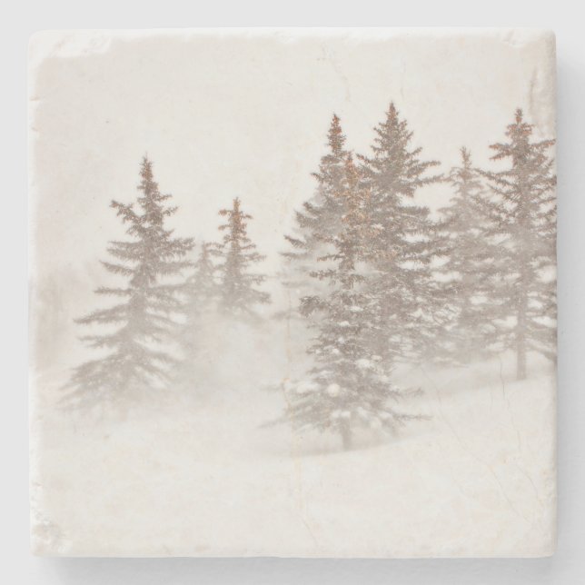 SteinUntersetzer - GebirgsZuhause inspiriert (Vorderseite)