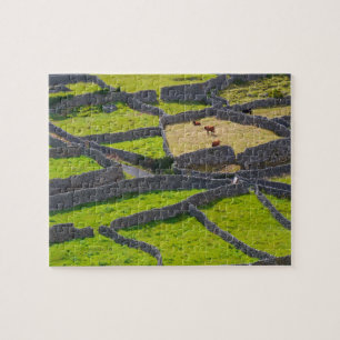 Steinwände Galway Irland. Puzzle