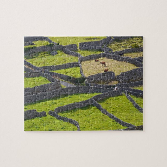 Steinwände Galway Irland. Puzzle (Horizontal)