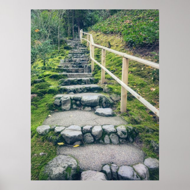 Steinweg in üppigen Wald Poster (Vorne)
