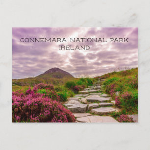 Steinweg, Wildblumen, Nationalpark Connemara, Postkarte