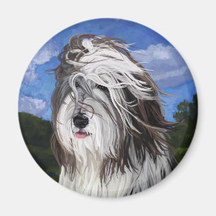 Stella, der englische Schafhund Magnet