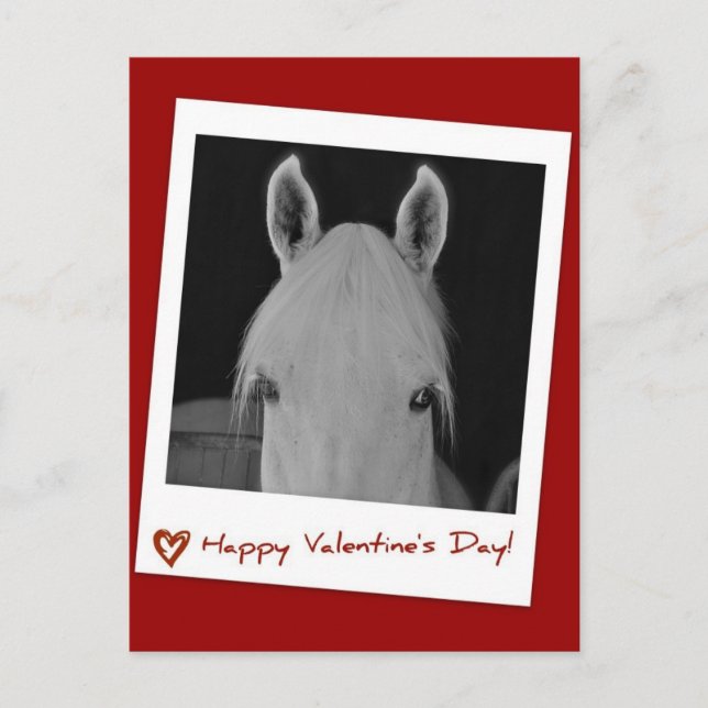 Stella Postkarte (Vorderseite)