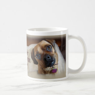 Stella Tasse