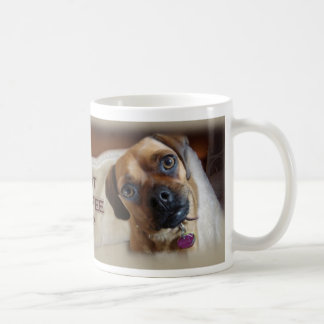 Stella Tasse