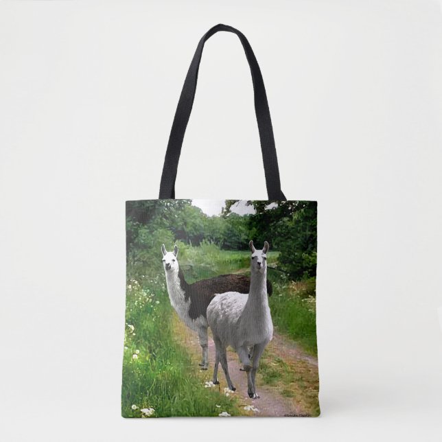 "Stella & The Pirate" Tote Bag (Vorderseite)