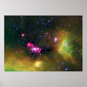 Stellar Babies Poster