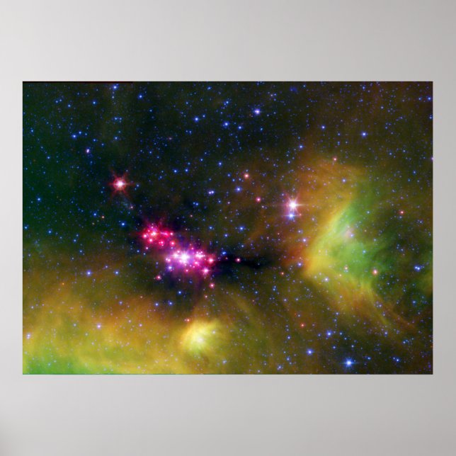 Stellar Babies Poster (Vorne)