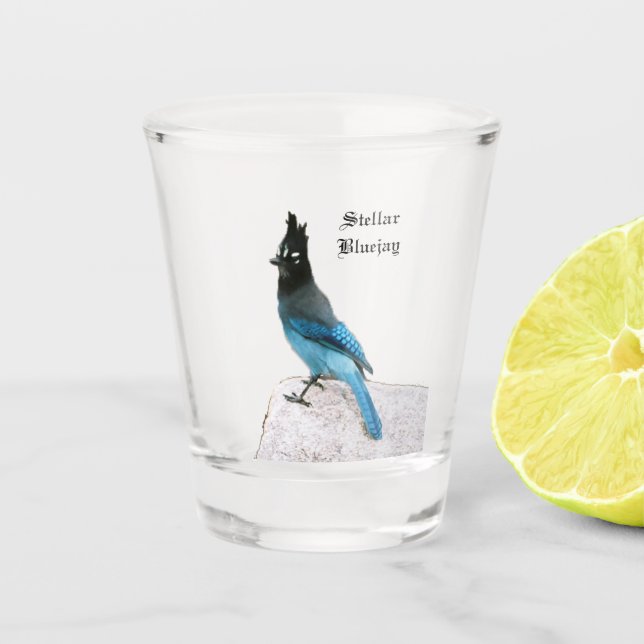 Stellar Blue Jay Shotglas Schnapsglas (Vorderseite)