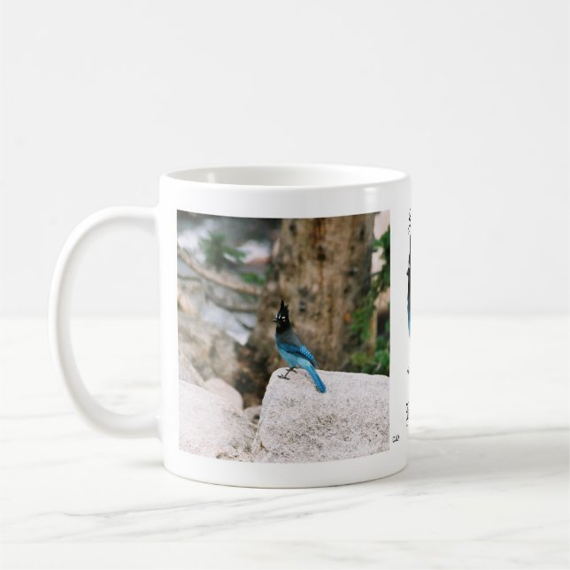 Stellar Blue Jay Tasse (Links)