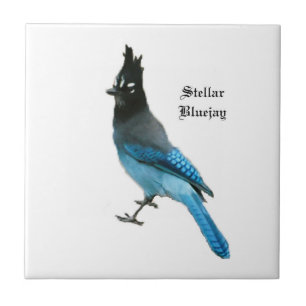 Stellar Blue Jay tile Fliese