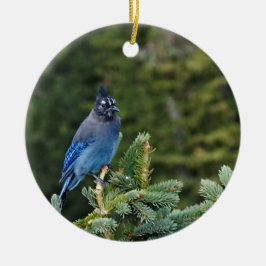 "Stellar Jay" Keramik Ornament