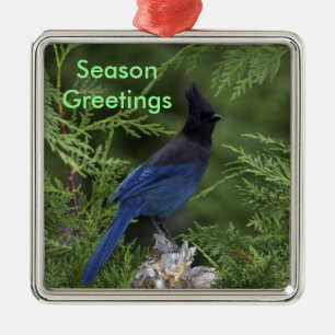 Stellar Jay Weihnachtsschmuck