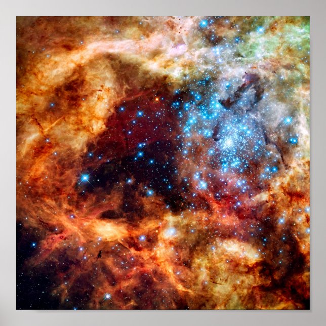 Stellar Kinderzimmer R136 Tarantula Nebula NASA Fo Poster (Vorne)