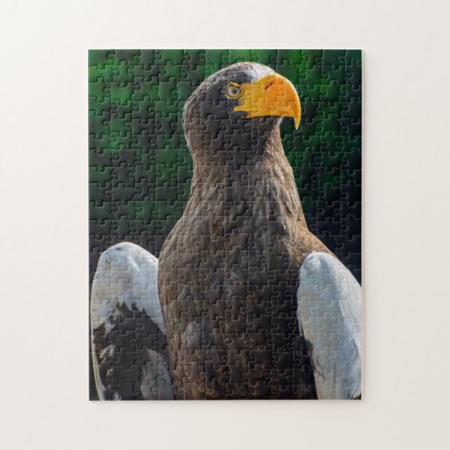 Stellar Sea Eagle Jigsaw Puzzle (Vertikal)