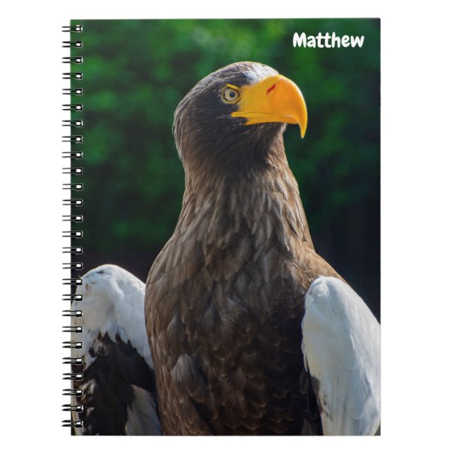 Stellar Sea Eagle Spiral Notebook Notizblock (Vorderseite)