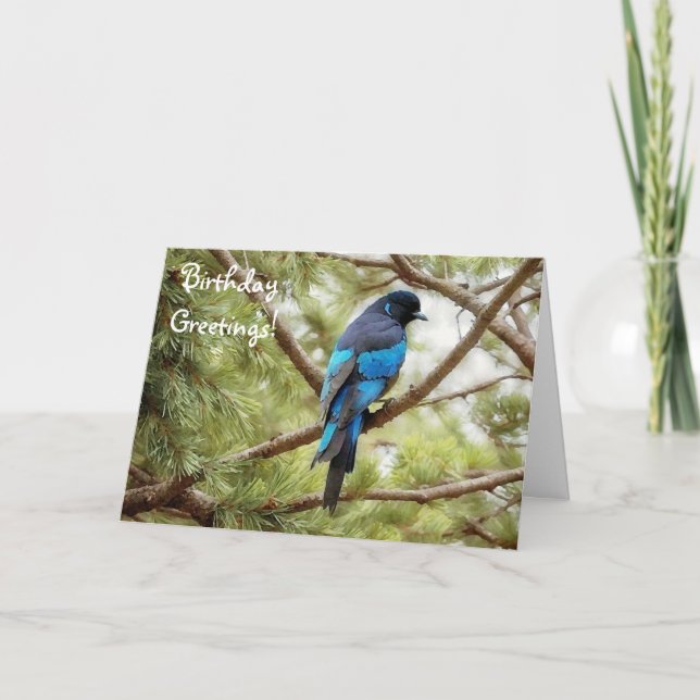 Stellars Jay Blue Bird Birthday Card Bird Lover Karte (Vorderseite)
