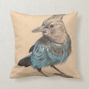 Stellars Jay, das auf getontem Papier zeichnet Kissen