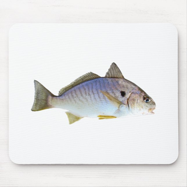 Stellen-Fisch-Foto Mousepad (Vorne)