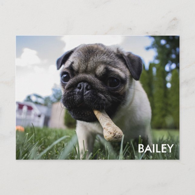 Stellen Sie Ihr eigenes kundenspezifisches Foto Postkarte (Vorderseite)