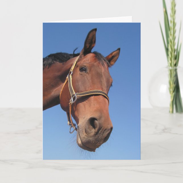 Stellen Sie Ihr eigenes kundenspezifisches Karte (Vorderseite)