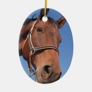 Stellen Sie Ihr eigenes kundenspezifisches Keramik Ornament