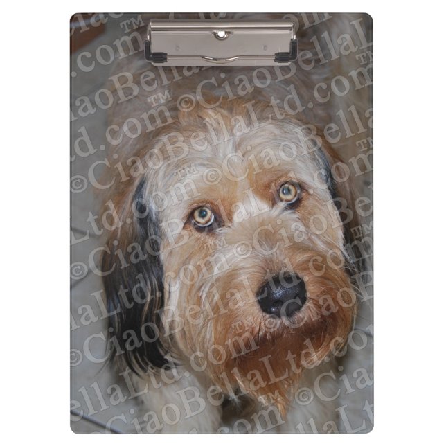 Stellen Sie Ihr eigenes kundenspezifisches Klemmbrett (Vorderseite)