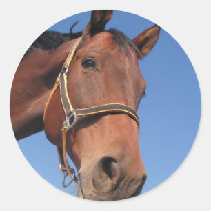 Stellen Sie Ihr eigenes kundenspezifisches Runder Aufkleber