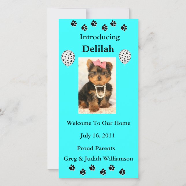 Stellen Sie Ihre Adoptiert Pet-Fotokarte ein Ankündigung (Vorderseite)