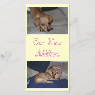 Stellen Sie Ihre eigenen Foto-Karten her Ankündigung