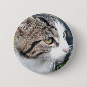 Stellen Sie Ihre eigenen kundenspezifischen Button