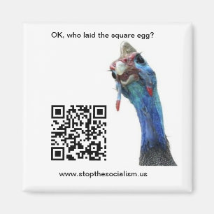 Stellen Sie Ihre eigenen kundenspezifischen Magnet