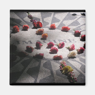 Stellen Sie sich den Mosaic Central Park vor Magnet